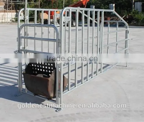 Goldenest Piggery Gestation Crate for Pigs Galvanized Single Stall for Sows photo-4