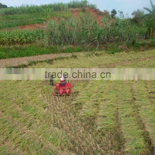 Driven by Gasoline Engine Wheat Reaper Machine photo-5