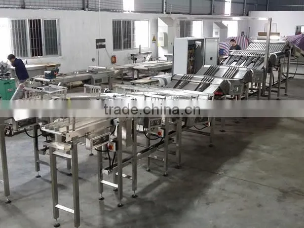Automatic Feeding System For Biscuit Sandwcihing Machine