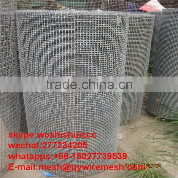 Crimped Wire Mesh/Galvanized Crimped Wire Mesh/Stainless Steel Crimped Wire Mesh photo-6