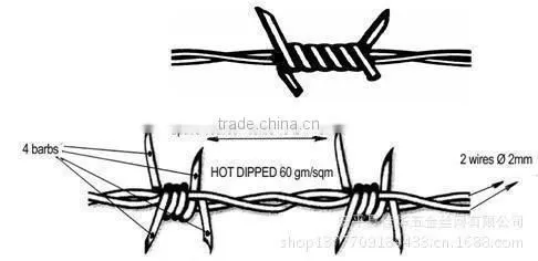 Galvanized Razor Wire/Concertina Wire/Razor Barbed Wire photo-2