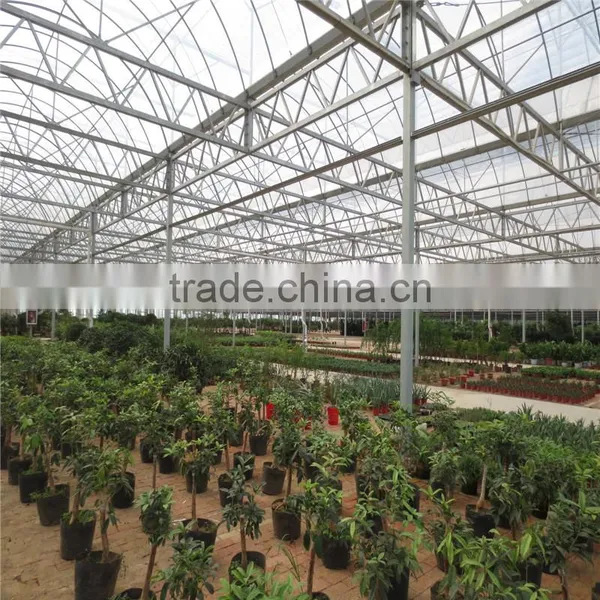 The Cheapest Hot Sale and Easily Installed Commercial Greenhouse photo-5