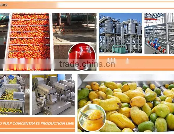 High Quality Full-Automatic Tube Sterilizer Line,Tube Sterilizer System photo-5
