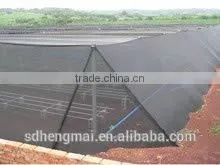 Agricultural Shade Net, Plastic Net, Green Shade Net,green Hourse,China Manufacture HDPE Shade Net, Plastic Net, pe Net photo-2