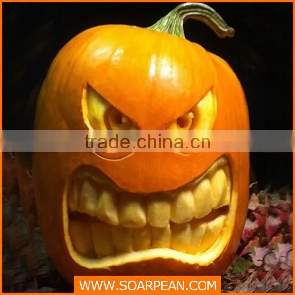 Halloween Decoration Artificial Halloween Pumpkin Foam Pumpkin photo-3