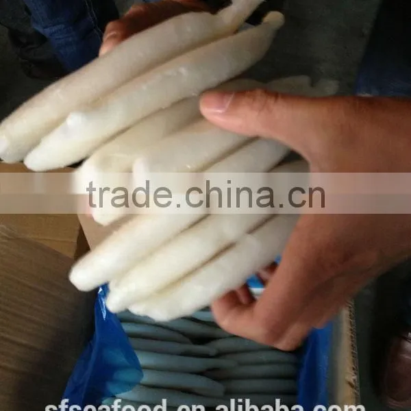 Frozen Squid Tube U7 photo-5