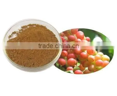 Acanthopanax Senticosus Extract/siberian Ginseng Extract Powder photo-2