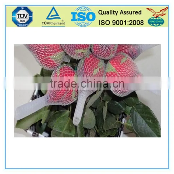 Durable Waterproof Plastic Net for Rose Bud photo-2