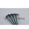 Truss Head Self Tapping Screws,carbon Steel, White Bule Zinc Plated Screws