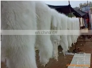 White Raccoon Fur Skin, Fur Skin for Women's Clothing, Raccoon Fur Skin for Garment photo-2