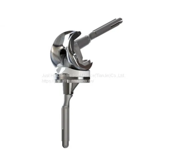 High Flexion Hybrid Total Knee System, photo-2