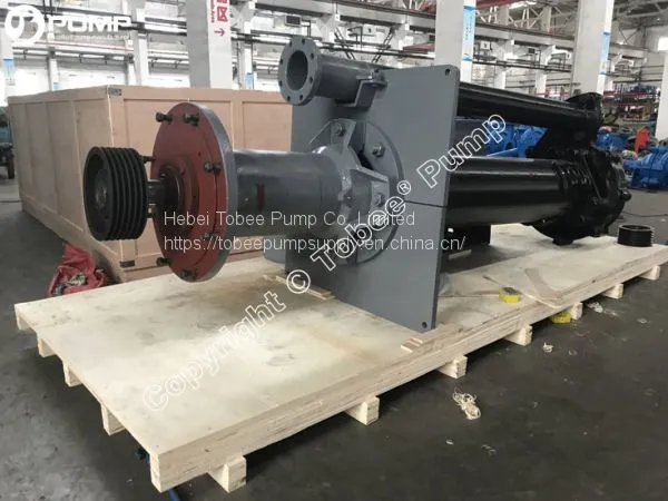 China SPR Rubber Lined Vertical Cantilever Slurry Pump photo-4