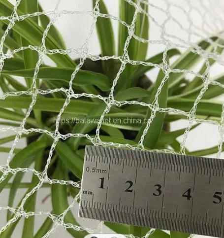 Knitted 30gsm New Material HDPE Diamond Bird Netting for Agriculture photo-4
