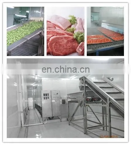 Cauliflower/broccoli Vegetable Quick Freezing Iqf Tunnel Freezer Equipment/iqf Machine photo-2
