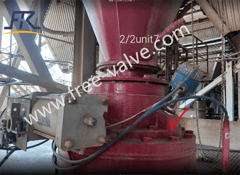 Pneumatic Operated Dome Valve photo-3
