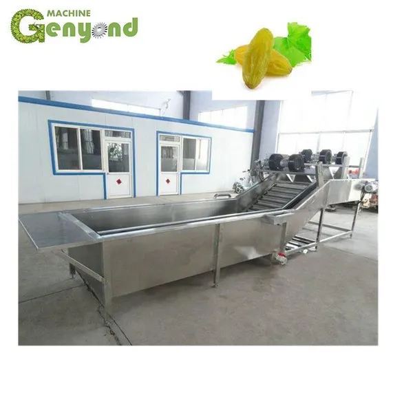 Shanghai Raisin Color Sorting Machine for Raisin Processing photo-3