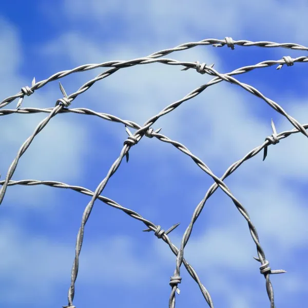 Wholesale Anti-Climb Galvanized Razor Barbed Wire for High Security Applications photo-2