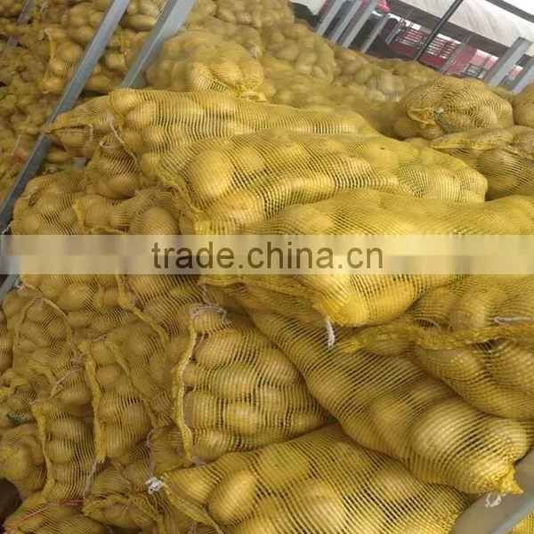 Fresh Yellow Potato From New Crop ( China Origin) photo-3