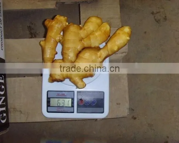 Good Price of the Ginger photo-4