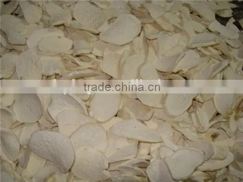 Mesh Belt Dryer for Yam photo-5