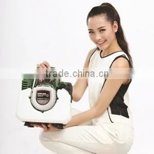 1.0kw Gasoline Generator Silent Gasoline Generator Digital Inverter