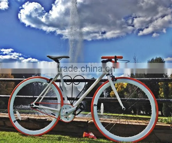OEM Offered Hot Selling New Design Chinese Road Bike Wheels photo-4