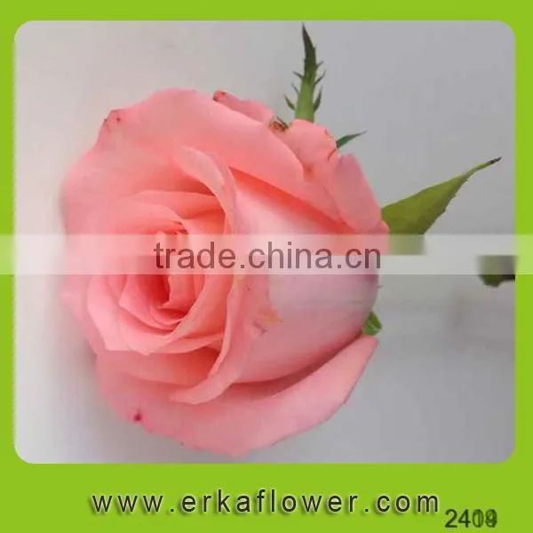 Color Pink Rose Fresh Floral Arrangements photo-2