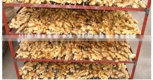 Packed Ginger photo-2