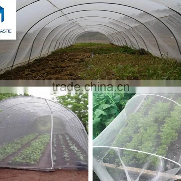New Arrival uv Treated Hdpe Greenhouse Insect Net , Agriculture pe Anti Insect Net , Insect Screen/net With Low Price photo-5