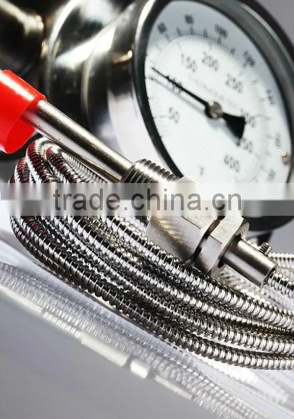 Gas Filled Remote Reading Thermometer photo-2