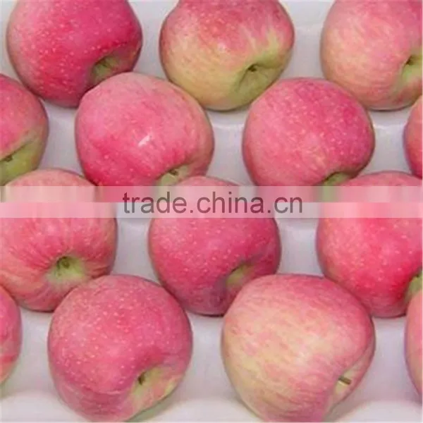 2015 New Crop Fresh Red Star Apples Fruit