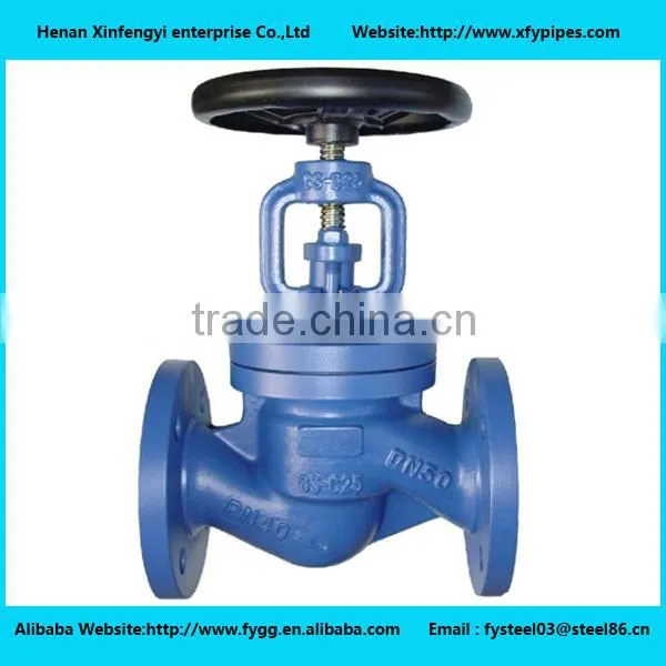 Angle Steam Globe Valve photo-3
