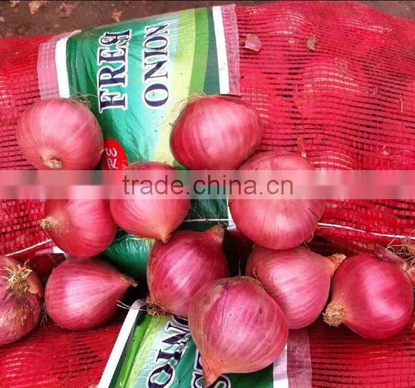 Fresh Organic Red Onion for Sale photo-4