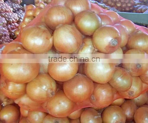 Fresh Yellow Onion