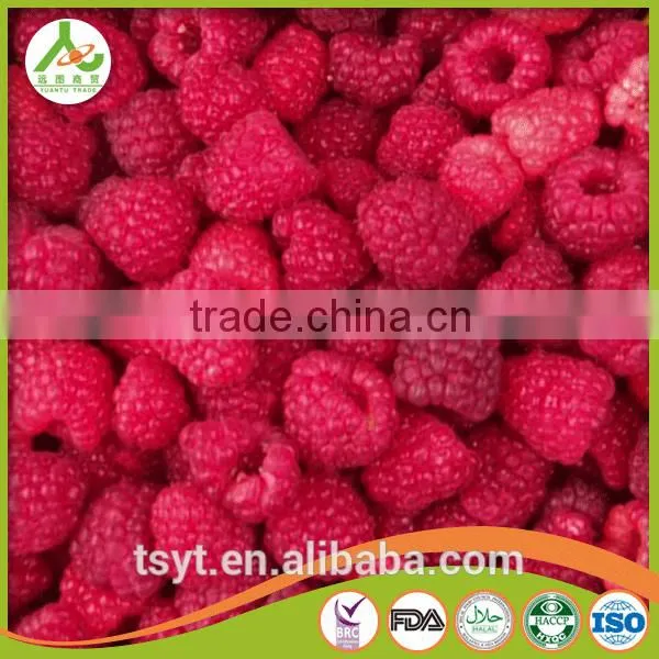 Golden Supplier of Top Quality IQF Frozen Raspberry photo-4
