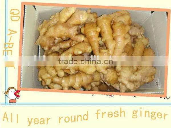 Organic Fresh Ginger photo-3