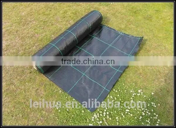 China pp Woven Fabric Roll for Geotextiles photo-2