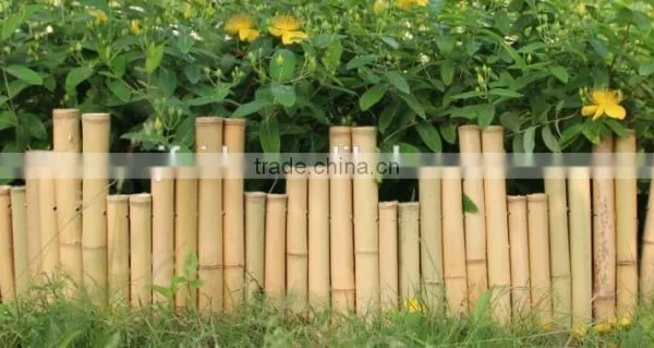 FD70301 Newest Styles of Bamboo Fence photo-4