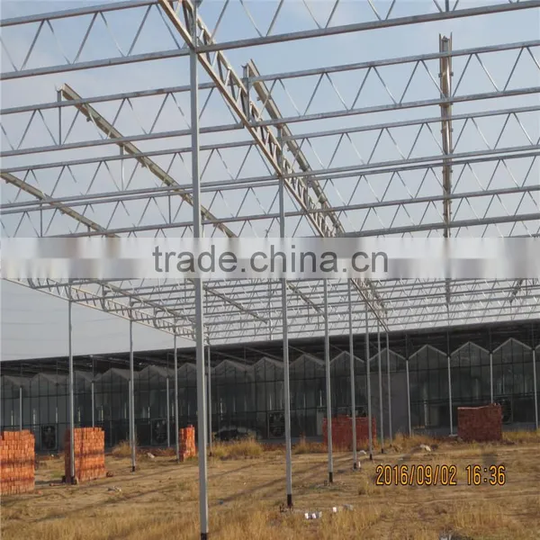 Multi-span Low Cost Greenhouse,commercial Greenhouse in Tanzania photo-4