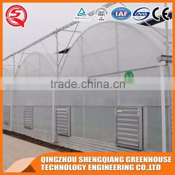 Multifunction Plastic Greenhouse for Agricultural Farming photo-5