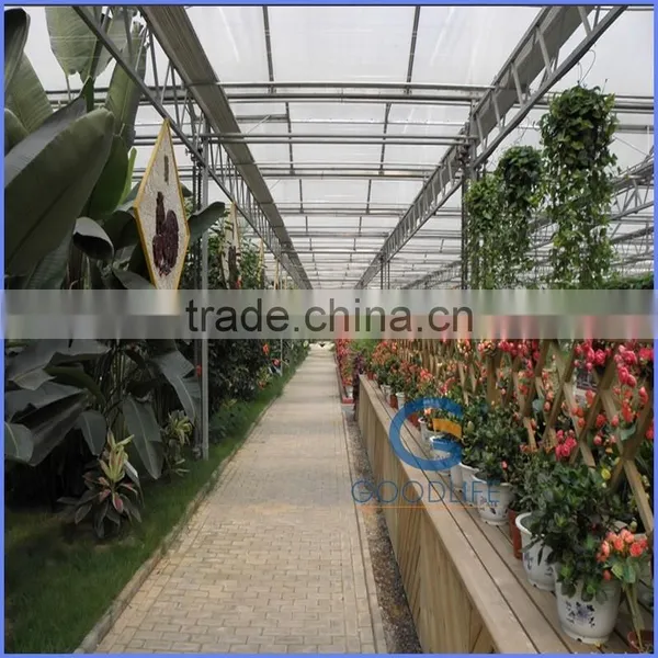 6mm Greenhouse Polycarbonate Sheet Price photo-3