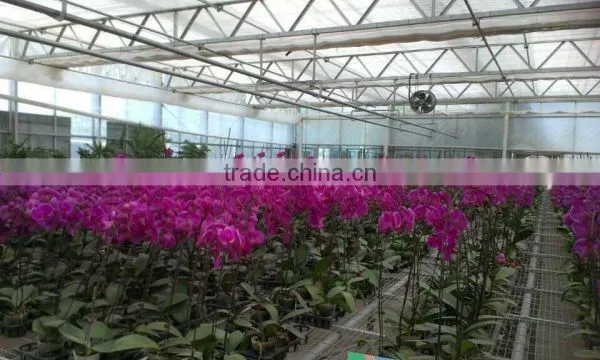 Flower Greenhouse photo-5