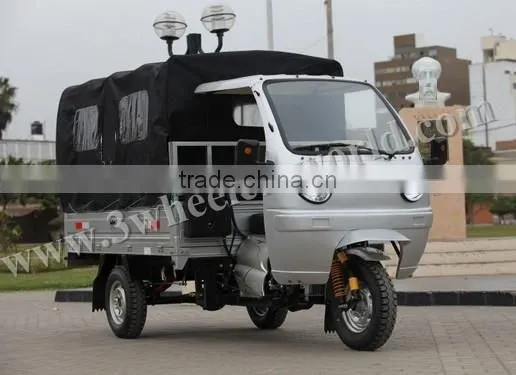 Website 2015 China Popular Design 175cc Electric Pedicab for Sale photo-6