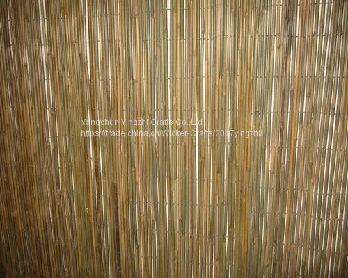 Bamboo Cane Fence/ Bamboo Fence Stick Screening
