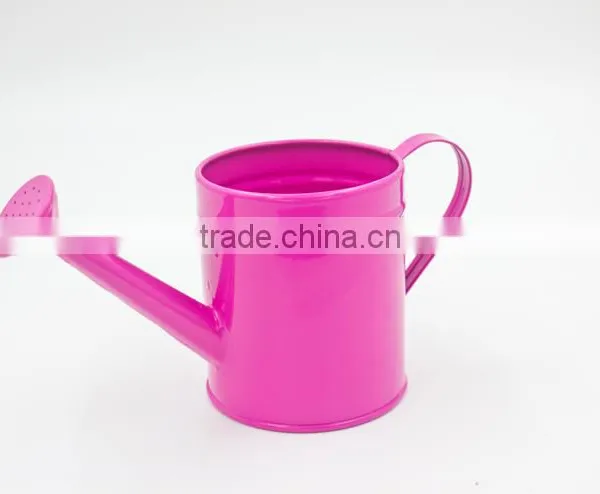 Hot Sale Metal Garden Watering Pot photo-2