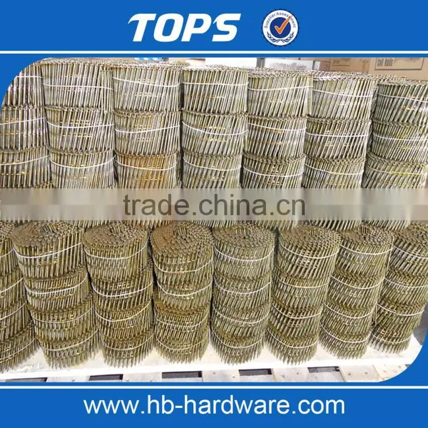 Factory Wholesale Screw Shank / Smooth Wire Coil Nail photo-6
