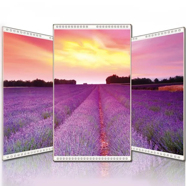 7 Days Dispatch and Custom Printed Infrared Heating Panels photo-3