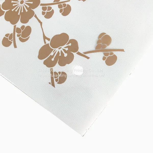 Custom Logo Plastic Packaging Bag With Zipper for Garment Manufacturer photo-4