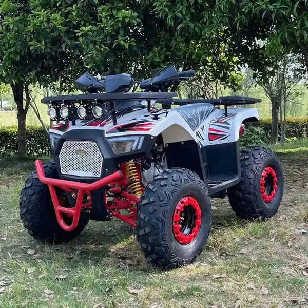 4wheeler Automatic Quad Bike 150CC 200CC Off-road Quad ATV Motorcycle photo-2