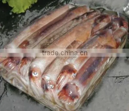 WR Frozen Illex Squid - Whole, Tube, Rings and Tentacles photo-3